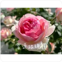 龍沙寶石