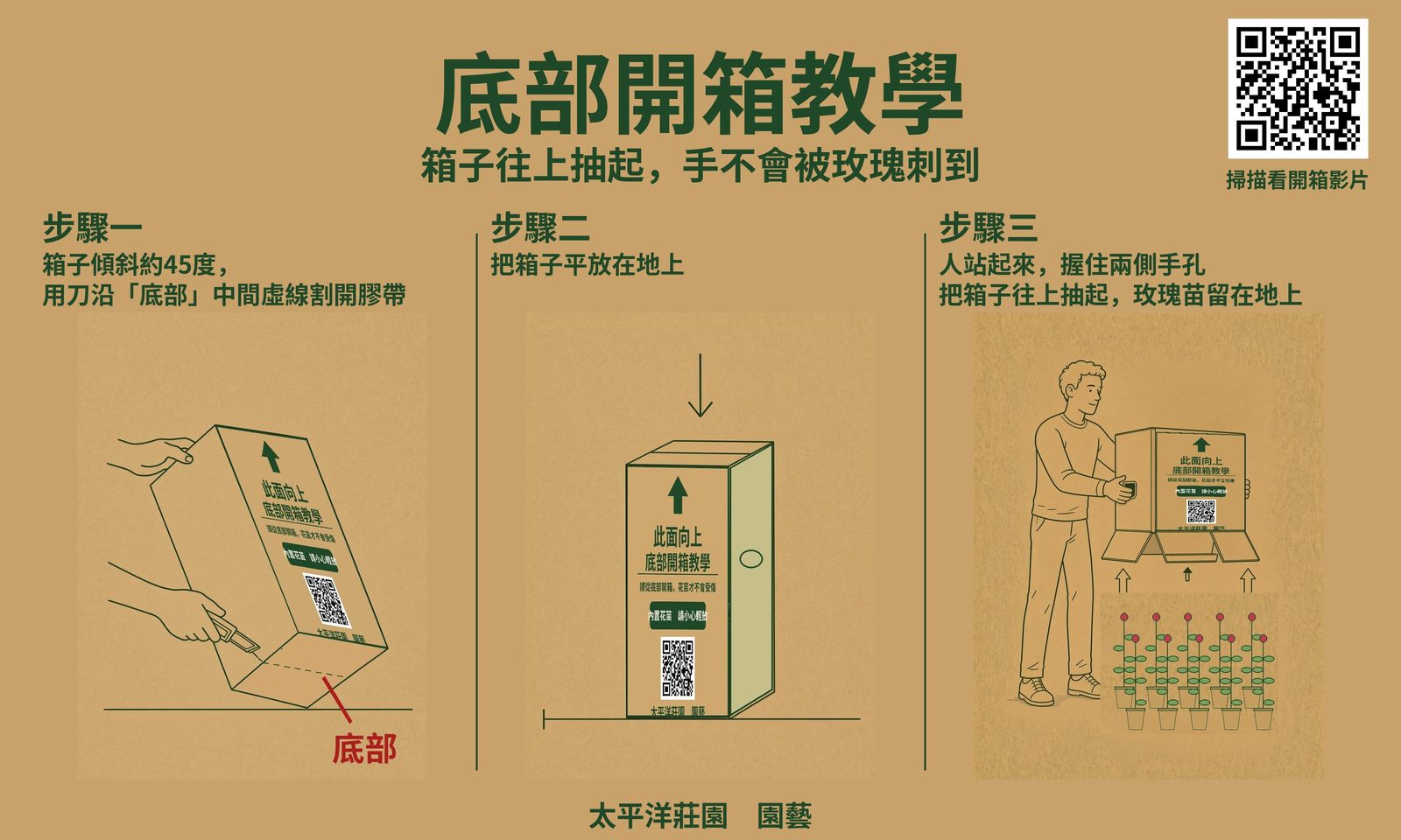 開箱三步驟：傾斜割開底部膠帶、平放地上、握住手孔把箱子往上抽起，玫瑰苗留在地上。