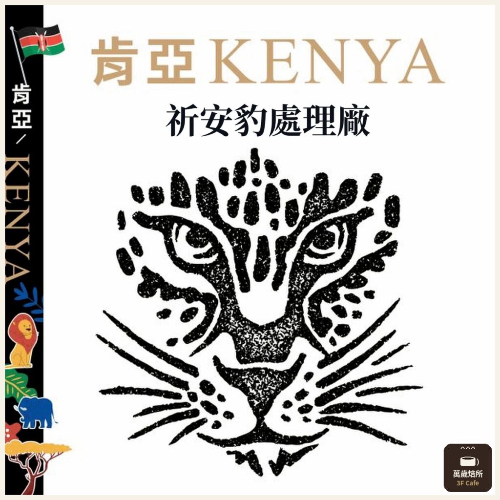 主圖