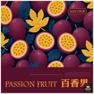 百香果｜水洗特殊後製｜蕙蘭｜Excelso｜Castillo 卡斯提優