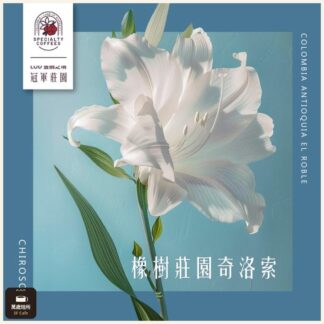 2025 哥倫比亞｜安蒂奧｜橡樹莊園｜水洗奇洛索｜LOD 冠軍莊園