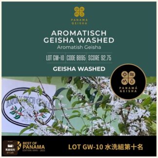 2022 最佳巴拿馬 BOP｜競標豆｜GW-10｜水洗組 - 第十名｜藝伎｜Aromatish Geisha 天香莊園