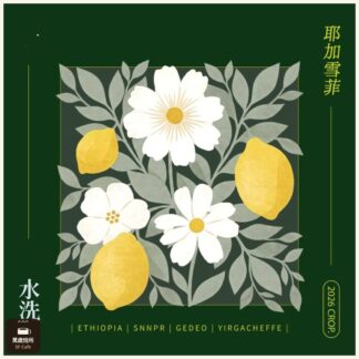 2026 水洗夏茉卡｜TOP G2｜耶加雪菲｜74110｜水洗｜頂級 G2