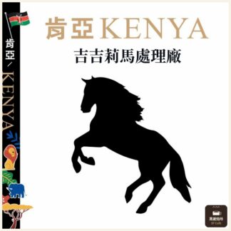肯亞｜吉吉莉馬處理廠｜TOP PB