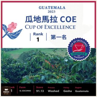 2023 COE 卓越杯｜瓜地馬拉｜RANK 1｜第一名｜標王｜水洗｜藝伎