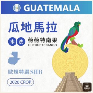 2026｜瓜地馬拉｜薇薇特南果｜SHB 歐規特選