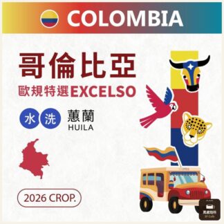 2026 哥倫比亞歐規特選｜Excelso｜水洗｜Castillo 卡斯提優｜Huila 蕙蘭