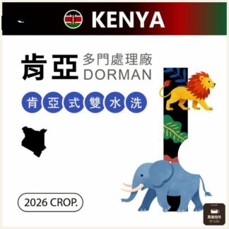 2026 肯亞｜多門處理廠｜SUPER C