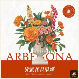 2025 黃蜜花貝果娜｜黃蜜｜西達摩｜74158｜TOP G1