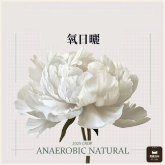 2025 厭氧日曬茉香柚｜烏拉嘎｜TOP G1｜可如蜜