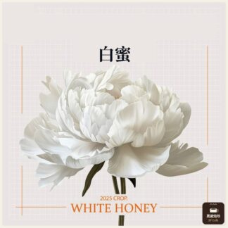 2025 白蜜茉香柚｜烏拉嘎｜TOP G1｜可如蜜