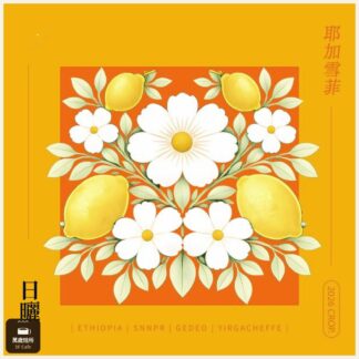 2026 日曬夏茉卡｜TOP G3｜耶加雪菲｜74110｜日曬｜頂級 G3
