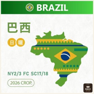2026 巴西 NY2｜3 FC SC17｜18 日曬