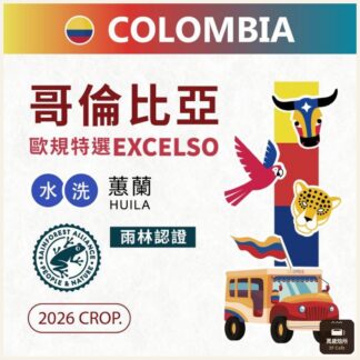 2026 哥倫比亞歐規特選｜Excelso｜水洗｜Castillo 卡斯提優｜Huila 蕙蘭｜RFA 雨林認證