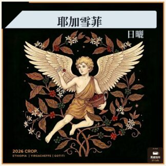 2026 日曬天使藝伎｜衣索比亞｜耶加雪菲｜果丁丁