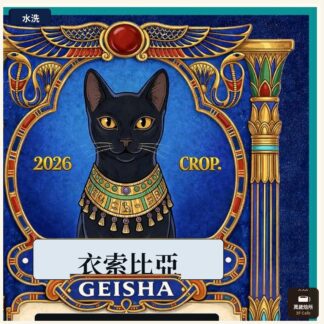 2026 水洗芭絲特藝伎｜罕貝拉｜布穀阿貝兒