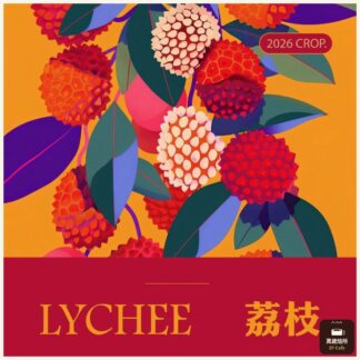 荔枝｜水洗特殊後製｜蕙蘭｜Excelso｜Castillo 卡斯提優